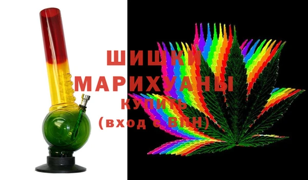 тгк Ельня