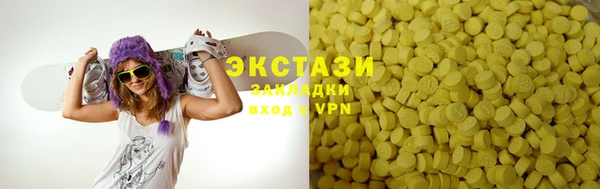 тгк Ельня