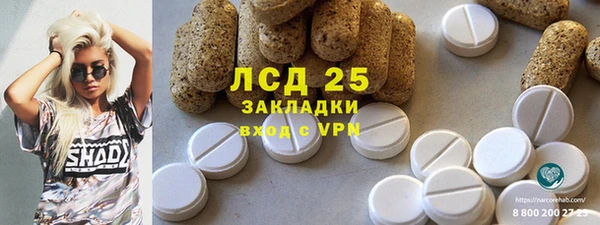 тгк Ельня