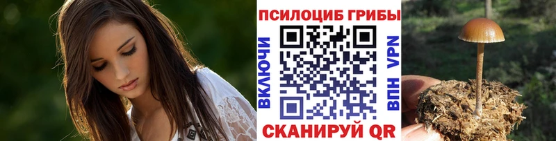Псилоцибиновые грибы MAGIC MUSHROOMS  Купить  Карабаново 