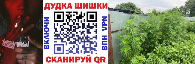 Купить закладки  Карабаново  Конопля семена 